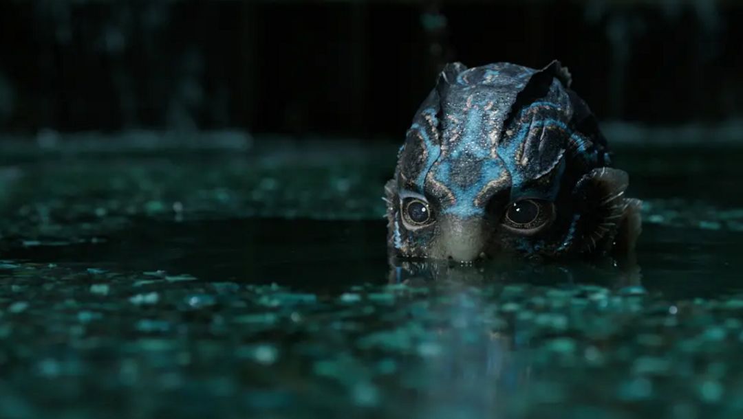 书评|《人鱼效应》