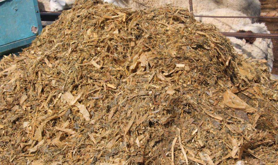 蔬菜秸秆能回收再利用吗?专业人士这样说