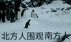 雪天最佳伴侣,oppo开黑外设装备"拴住"南方人