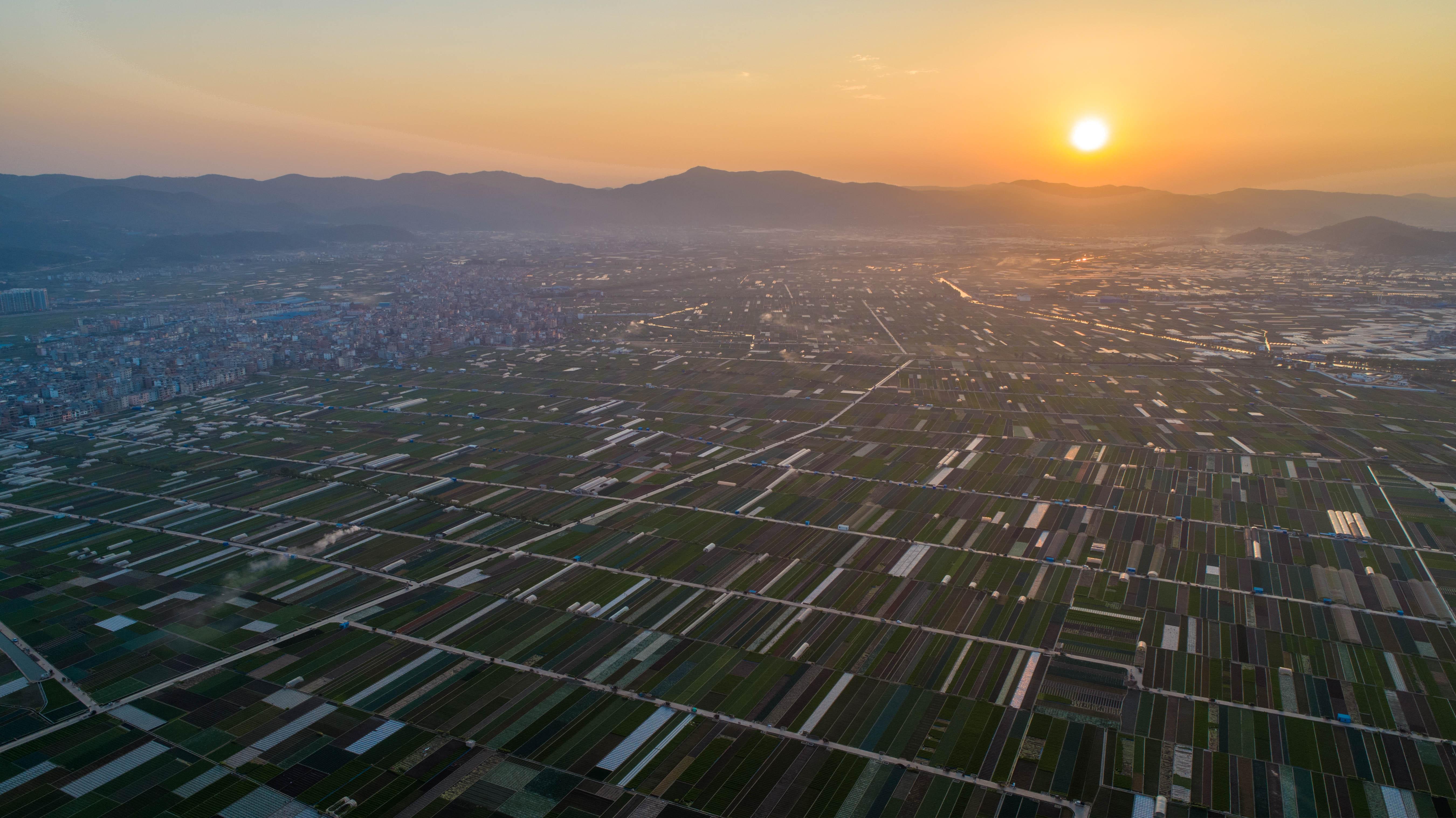 云南通海:春日田园美如画