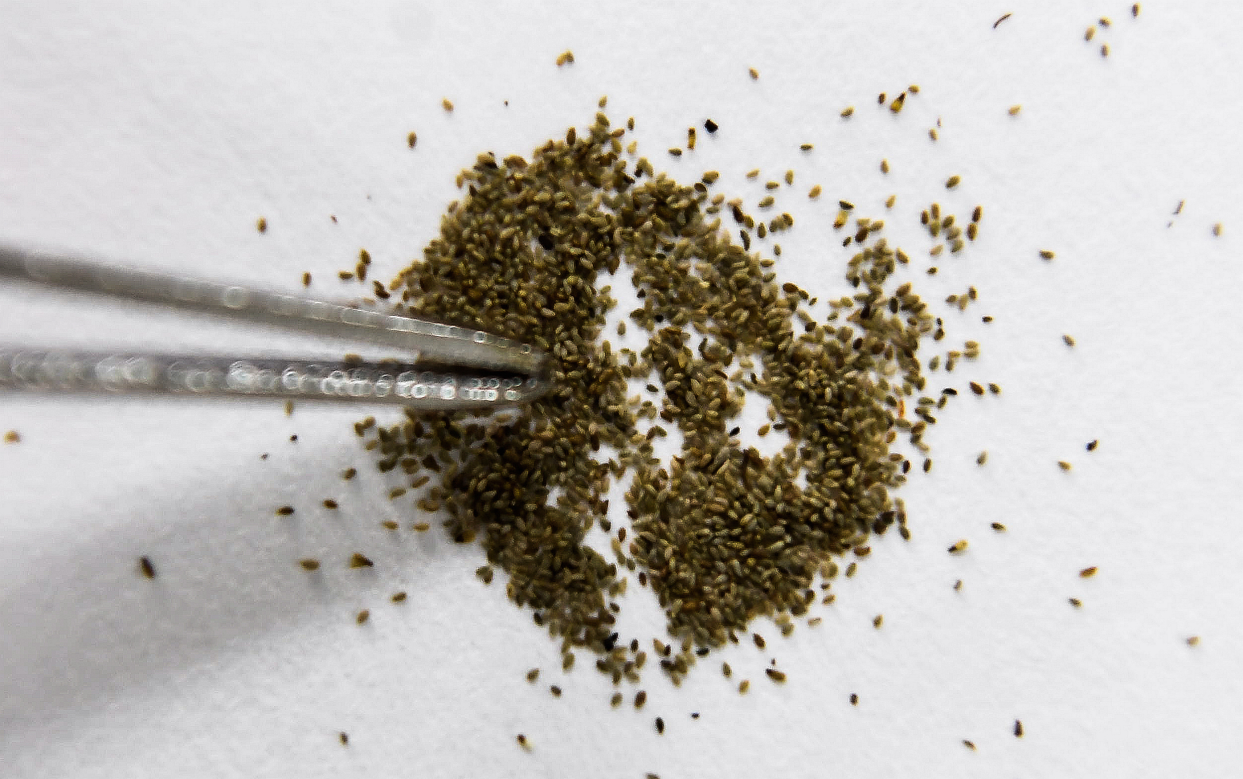 新华社照片,南宁,2019年4月27日    他们的命运因