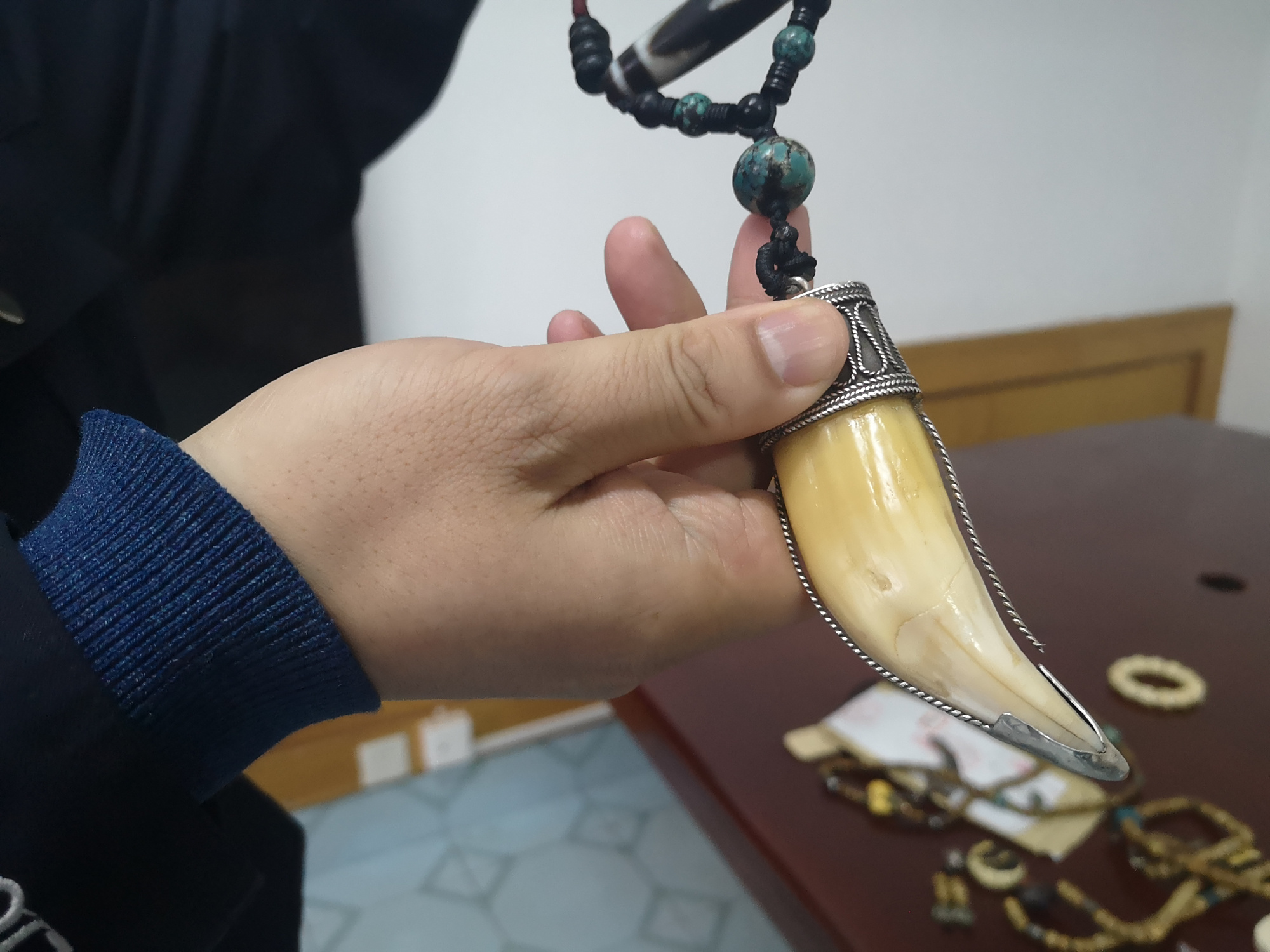 近千根高鼻羚羊角如何流入"黑市"?