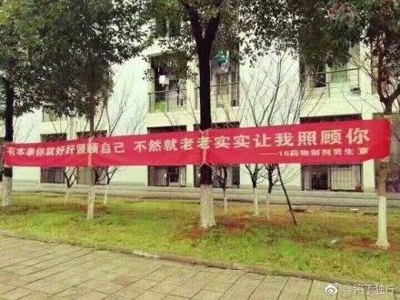 三七女生节!骚话横幅拉起来!