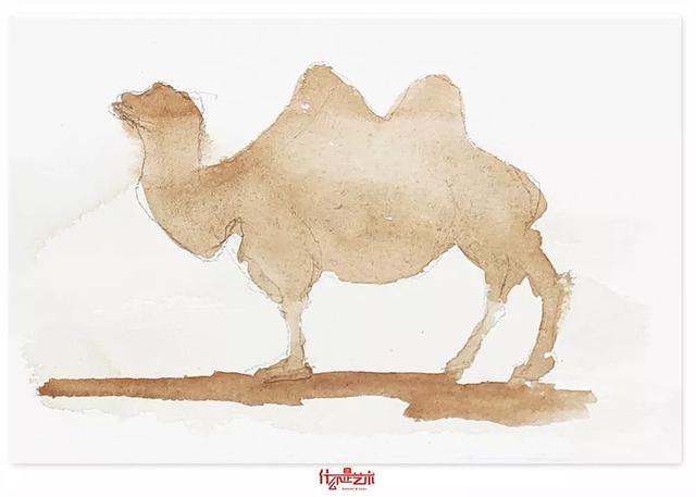 【沙漠骆驼练习2】