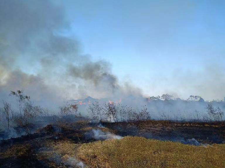 突发!今天下午"瓷都"景德镇一草坪着火 过火面积约600平