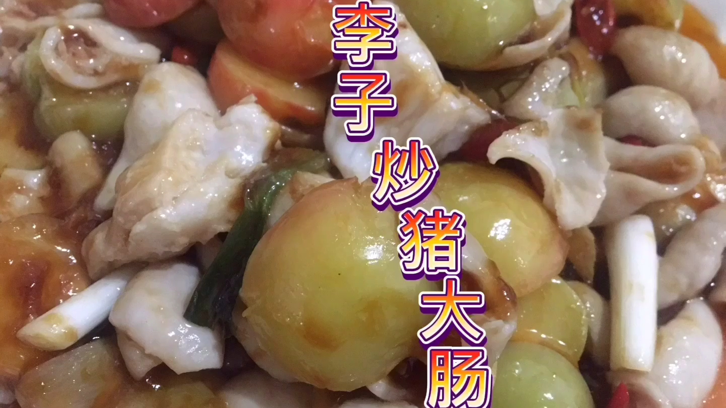 做个梅州兴宁网红菜李子炒猪大肠,加上自制的辣椒酱,大好吃啦