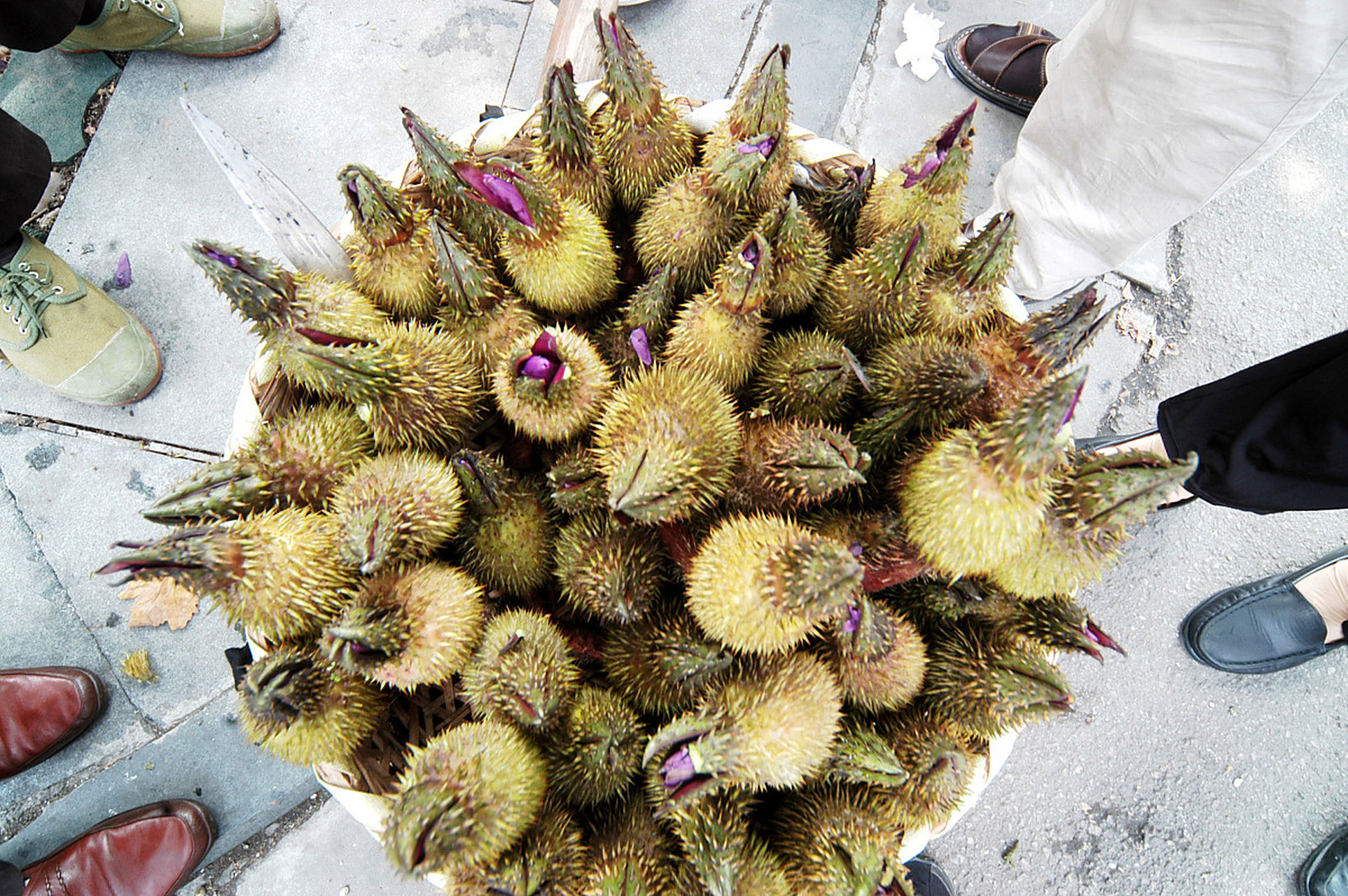 鸡头果 鸡头果是芡实成熟后的种仁,它是睡莲科一年生草本植物,鸡头果
