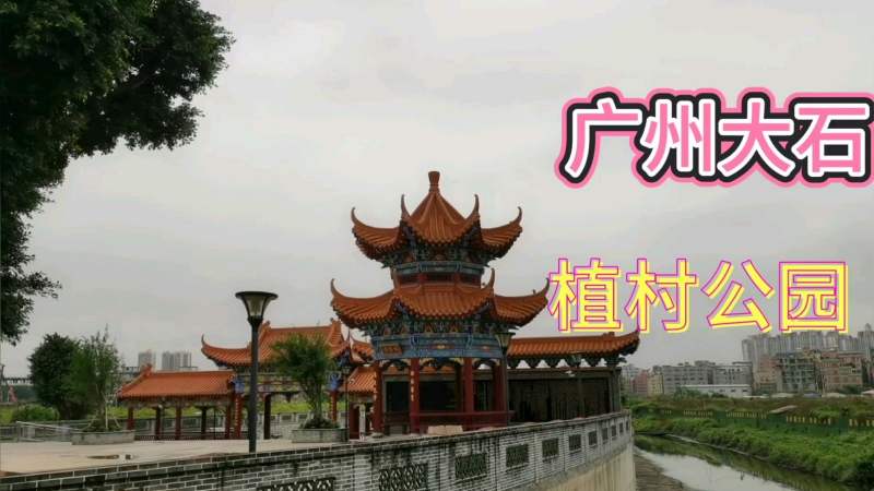 实拍广州番禺区大石植村公园第一次来看到这么漂亮的地方