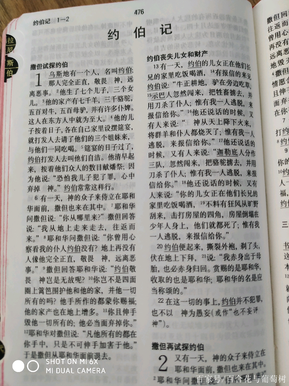 聖經故事,《約伯記》第一章