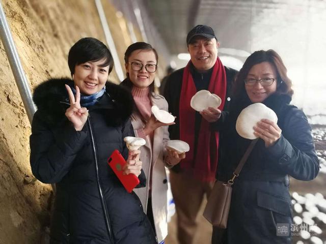 85后"香菇大王"吴元元:一年带动3000农户增收