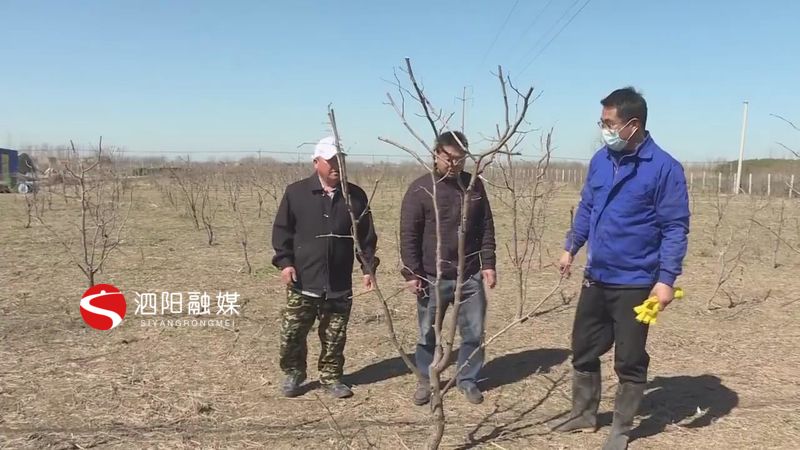 泗阳"土味化学家"胡国祥:用专业所长服务乡村发展