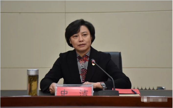 不忘初心牢记使命:史洁为县政府系统党员干部讲授专题党课