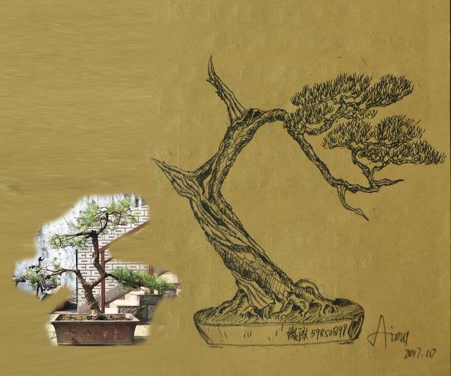 盆景设计图之我见(1)