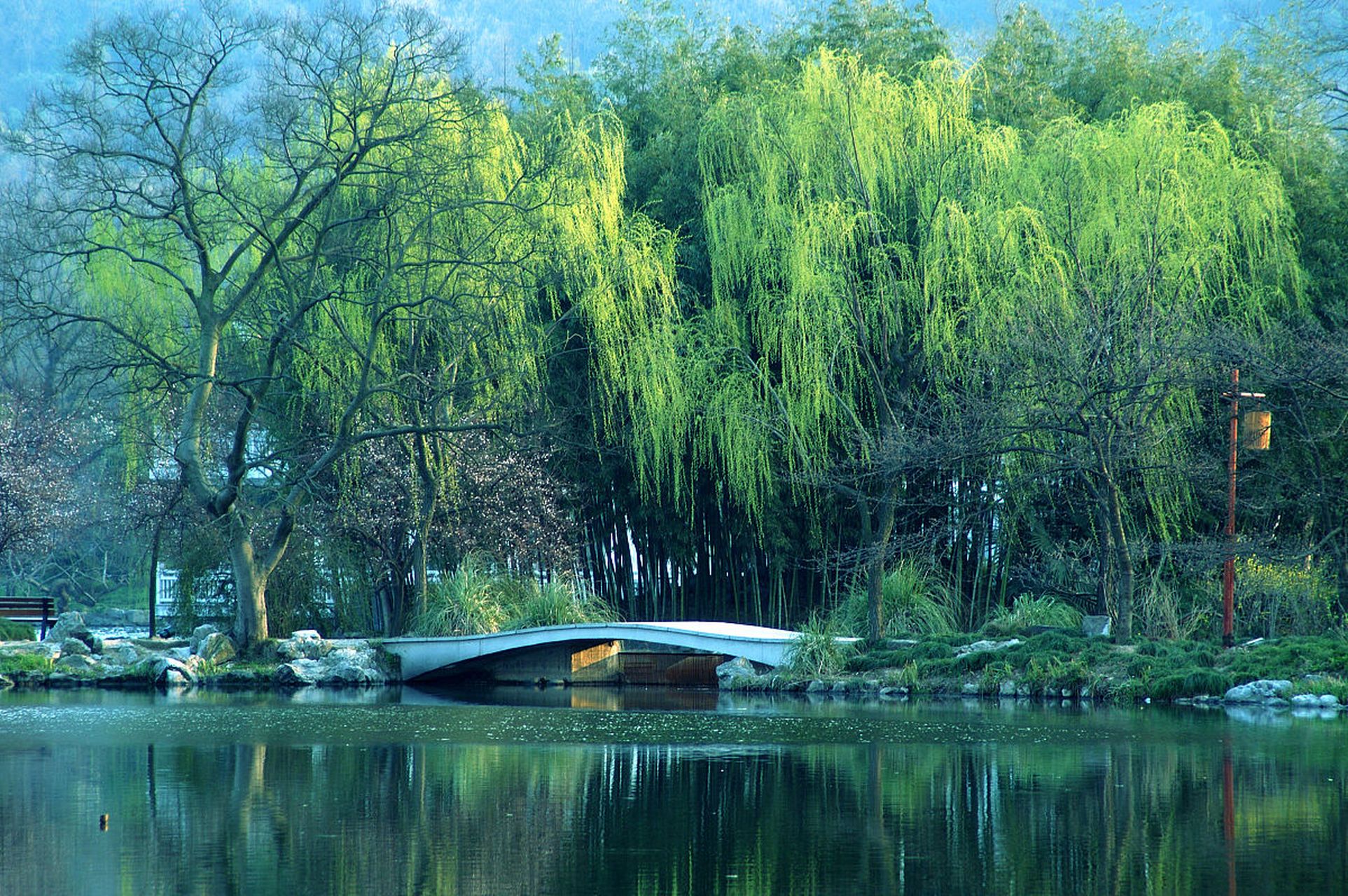 "take your time, there is always an encounter, a mutual liking