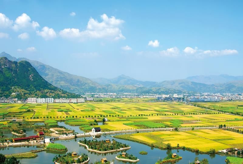 振兴动态|陈胜峰调研曹村融合发展示范带时强调 重特色铸就精品 高