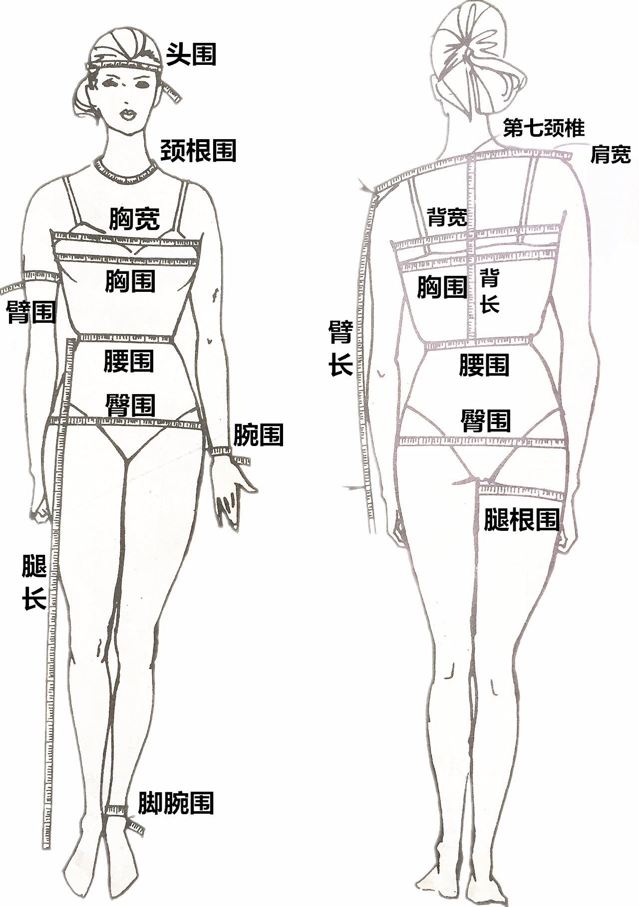 身体围度测量标准图解图片