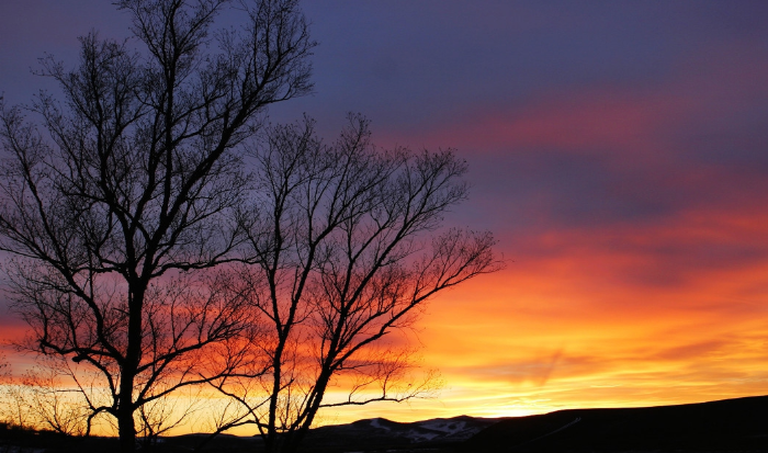 夕阳西下,霞光满天,美景如画