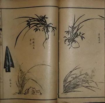 世界读书日:聊一聊中国古籍纸张种类