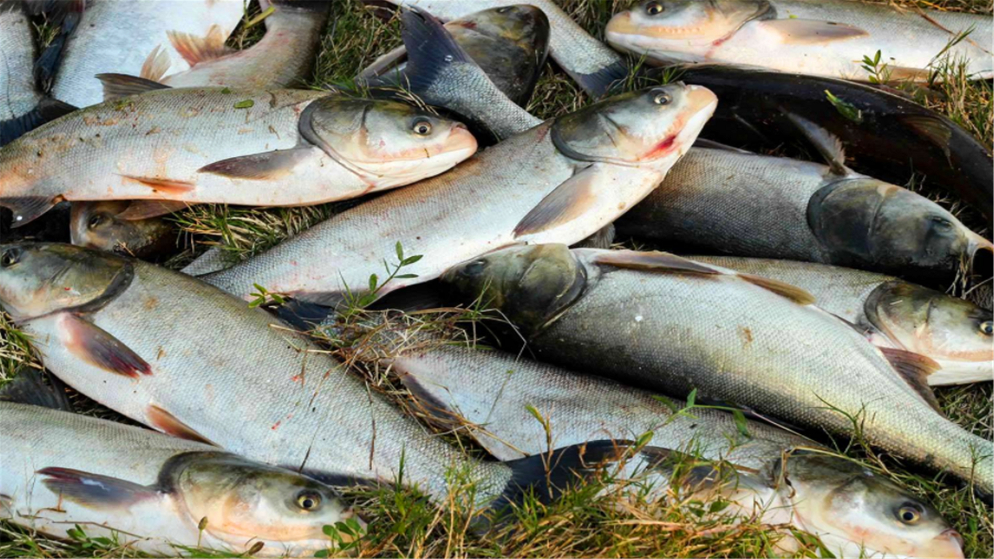 pe线尼龙 - 热门商品专区