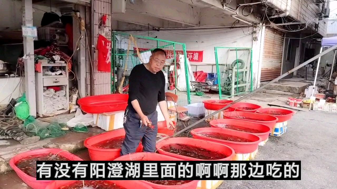 现在龙虾到底多少钱一斤?闯王亲口告诉你,你会买吗?