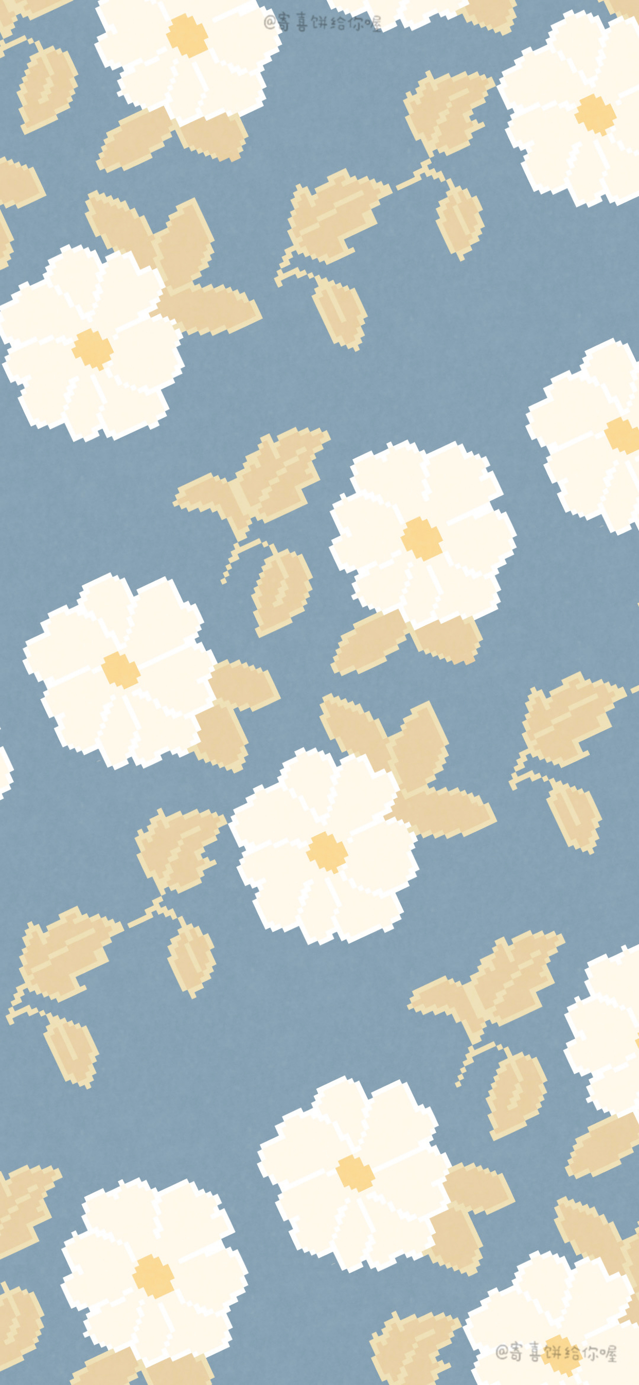 小清新壁纸背景图分享