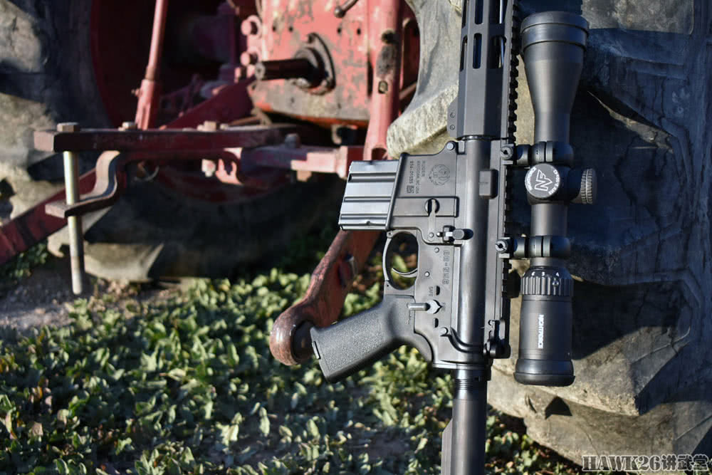 评测:鲁格ar-556 mpr步枪 ar型.450口径"猎熊枪"