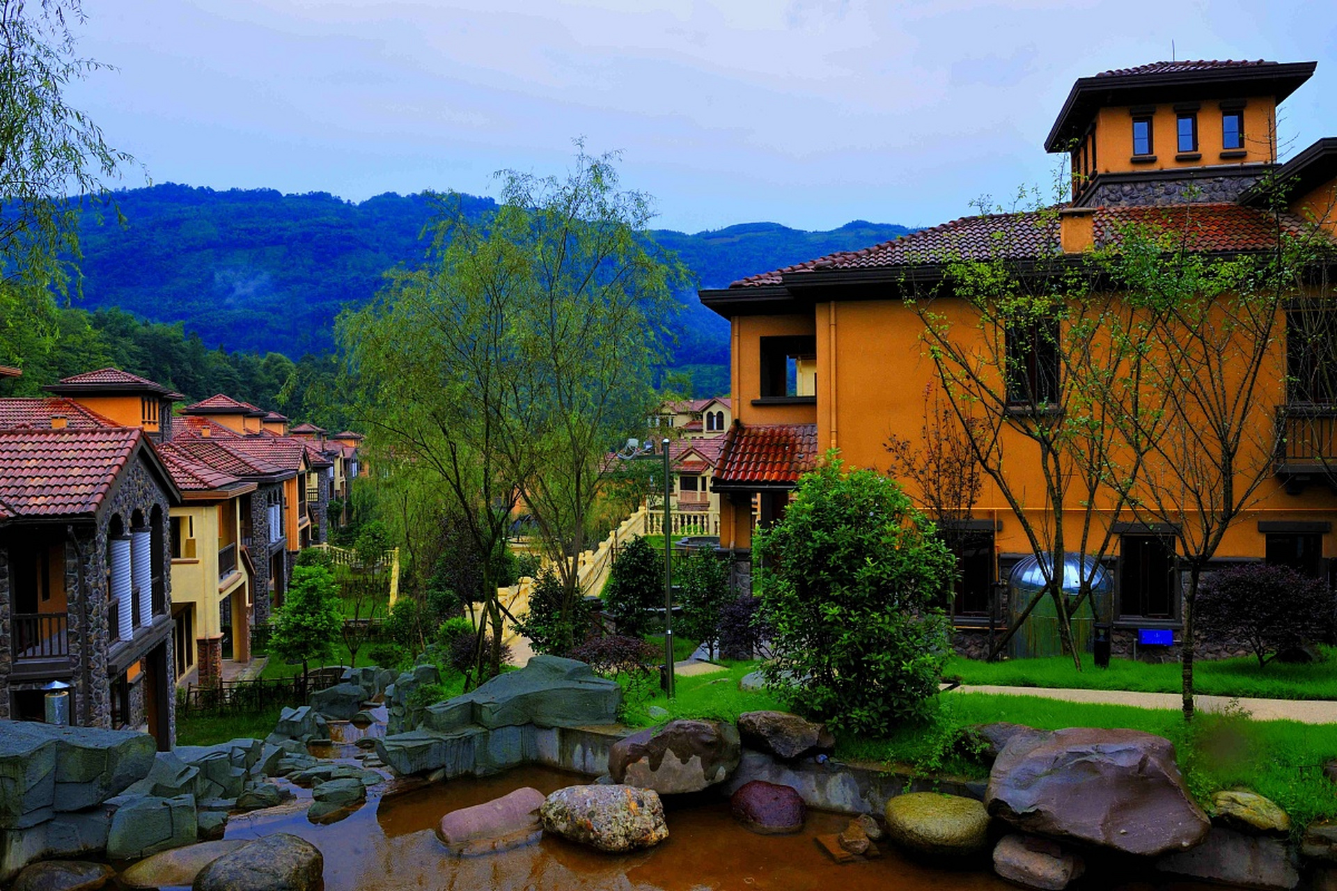 三月是万物萌发的季节,绿色的律动诠释着生命的意义,美丽的高桥小镇