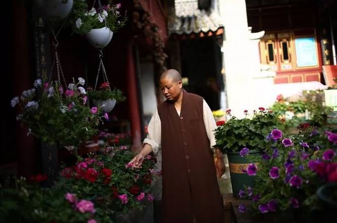 从小就喜欢花的妙慧法师,只要看到喜欢的花,就带回来育苗.