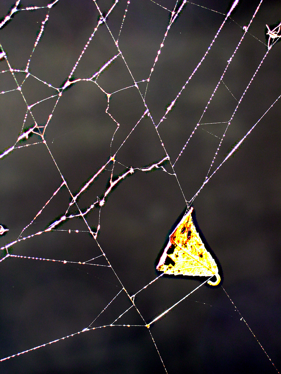 相应的就会有能说不能做的事,这种事会得到大众的