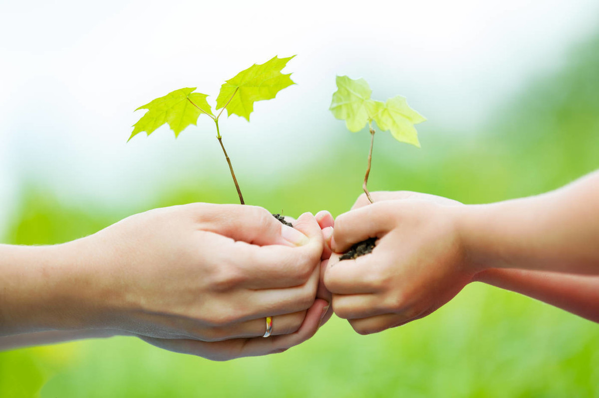 心灵鸡汤:现实中的我们,你觉得自己最缺的是什么?为什么?