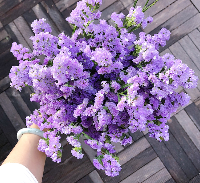 心理学:凭感觉选一束勿忘我,测跟你分手之后他还会不会想你!