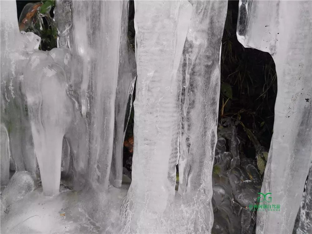 桂林兴安摩天岭这么美的冰瀑布!可惜今年不能再去了