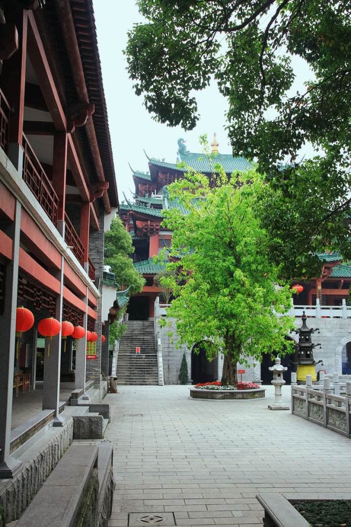 福顺德 -"挑老鸡"的传说