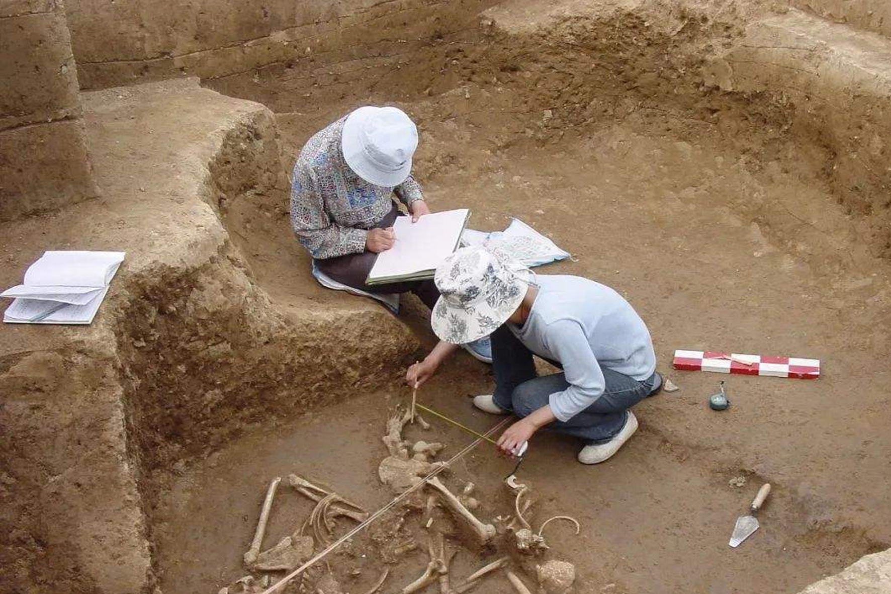 当一名考古队员,是一种什么体验?