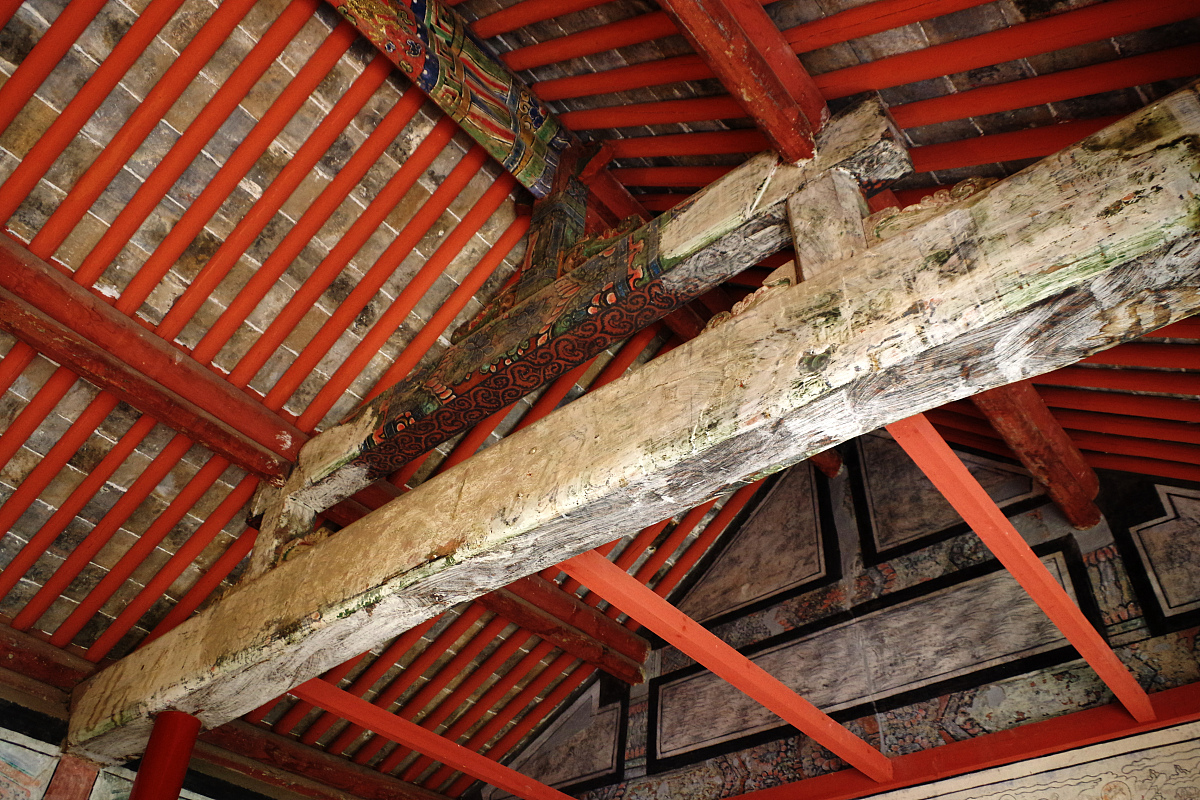 有一种很可怕,很恶心的人,不知道你们在生活中有