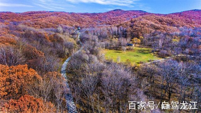 秋高氣爽旅遊季·觀五花山色就去玉泉國際狩獵場玉泉山