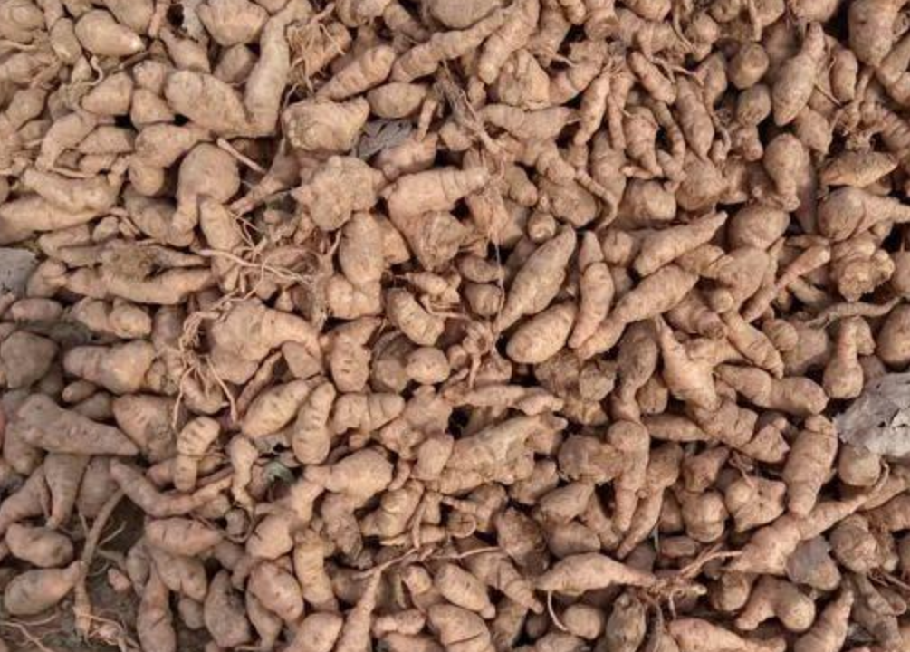 生地- 热门商品专区