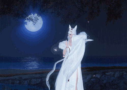 情人节礼物你送对了吗?性感白狐在线撩你,了解下?