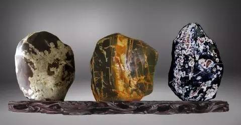 梅花奇石,千姿百态!