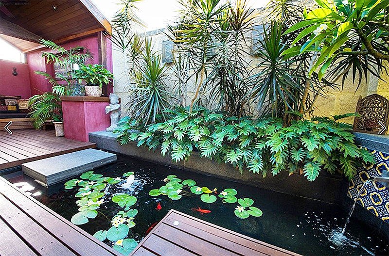 庭院设计:若鱼池荷花池这么设计,既合理又省面积,家家都能实现