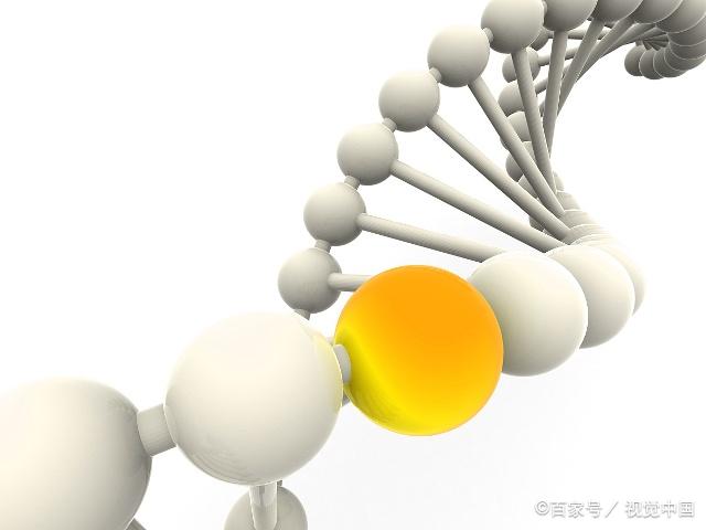 正确认识基因科学:解析贫穷会写入基因的谬论