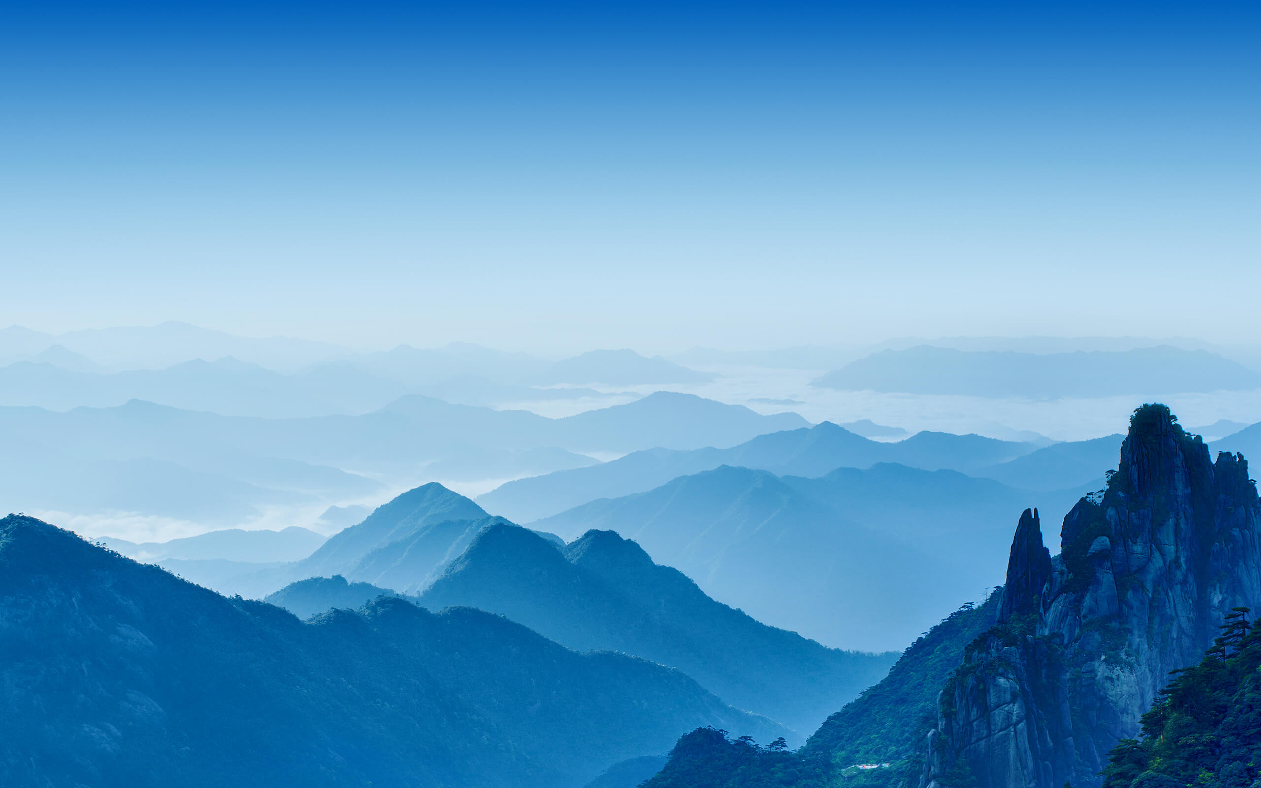 如何看待咪蒙微信公众号注销?