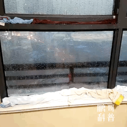 424_424gif 动态图 动图