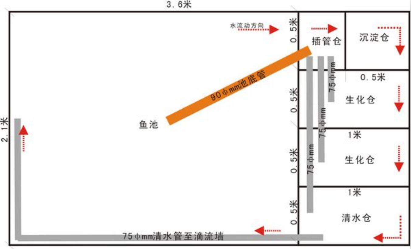 自建过滤水池设计图图片