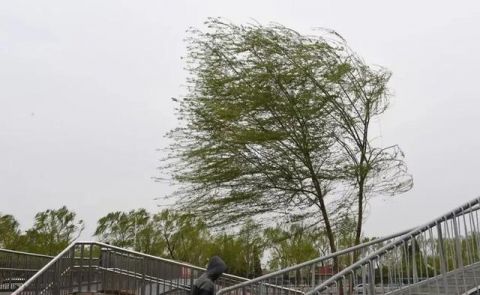 狂风呼啸过境,极端天气下安全该如何保障?