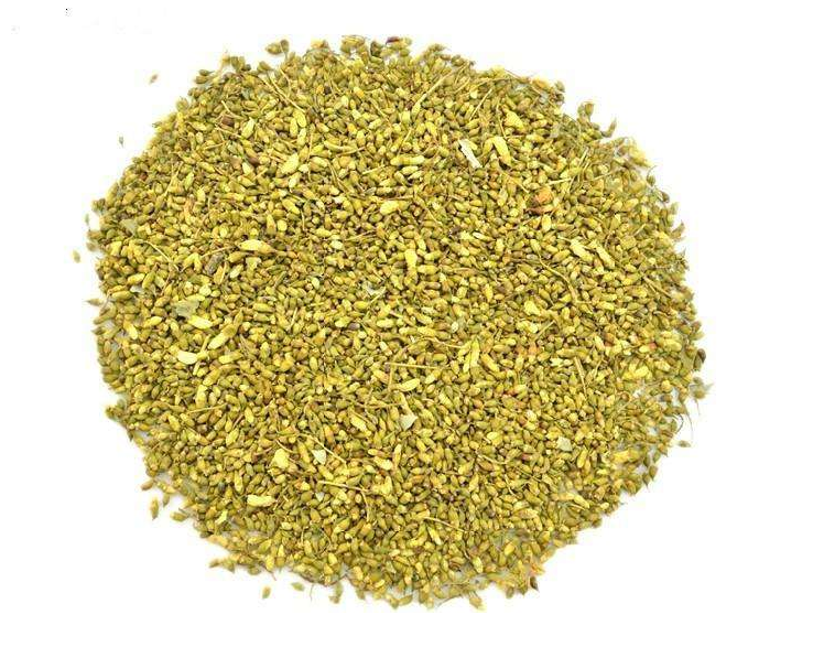 能提取出黄色素的槐米