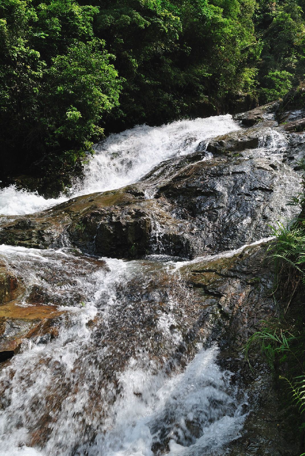 细数环境很美丽的旅游休闲场所,惠州南昆山,首尔景福宫自然也在其中