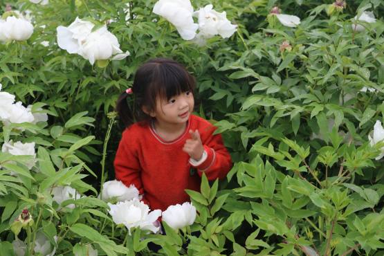 [图]我们家宝贝都来了，马上就要儿童节了，节日快乐，宝贝你听到了吗