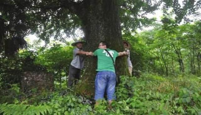 "一人不进庙,二人不看井,三人不抱树",下面一句更值深思