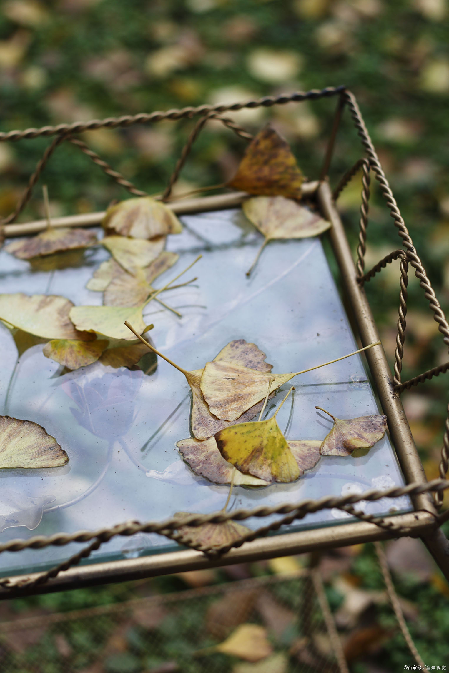 校园暴力事件层出不穷,家长需重点关注孤立背后孩子的心理创伤 校园暴力事件层出不穷,家长需重点关注孤立背后孩子的心理创伤